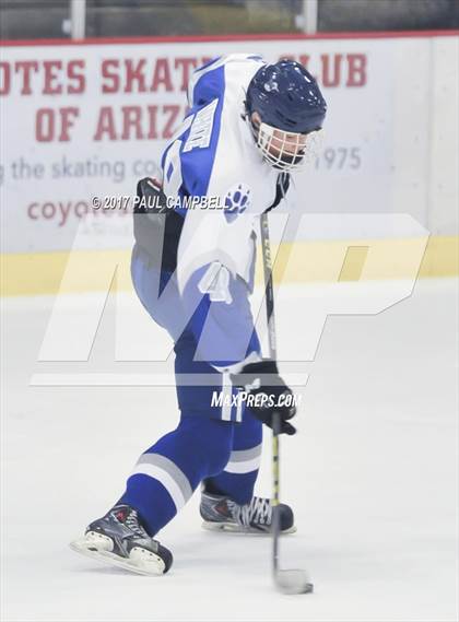 Thumbnail 1 in Cactus Shadows vs Mesquite (AHSHA Quarter Final) photogallery.