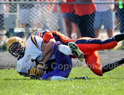 Thumbnail 2 in Williamsville @ New Berlin/Franklin/Waverly photogallery.