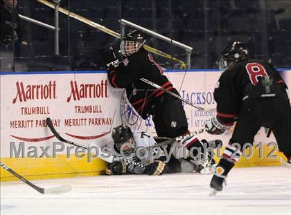 Thumbnail 3 in Trumbull @ Branford photogallery.