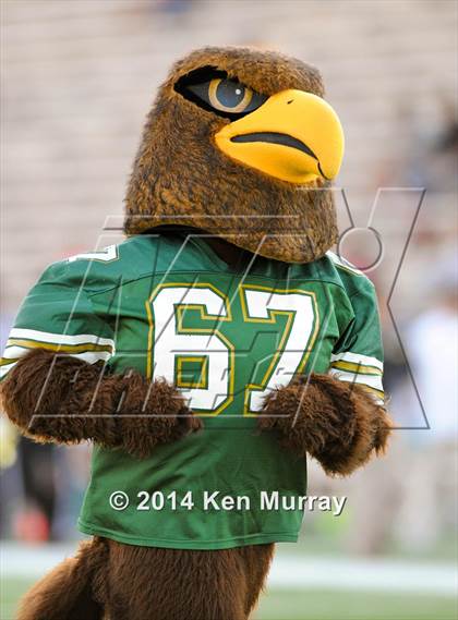 Thumbnail 1 in Cy-Fair vs Cy Falls photogallery.