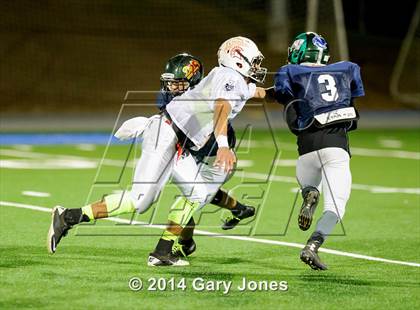Thumbnail 1 in Sacramento Bee 2014 Small-School Classic photogallery.