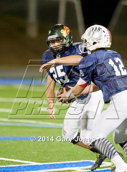 Thumbnail 1 in Sacramento Bee 2014 Small-School Classic photogallery.