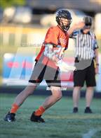 Photo from the gallery "Douglas @ Reed"