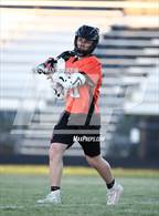 Photo from the gallery "Douglas @ Reed"