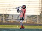 Photo from the gallery "Douglas @ Reed"