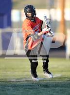 Photo from the gallery "Douglas @ Reed"