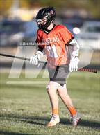 Photo from the gallery "Douglas @ Reed"