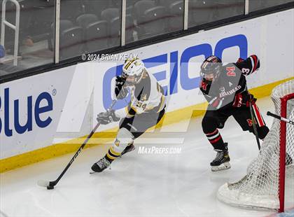Thumbnail 3 in Nauset Regional vs Marblehead (MIAA Division 3 Final) photogallery.