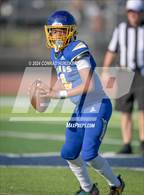 Photo from the gallery "Marshall @ Muir"