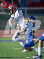 Photo from the gallery "Marshall @ Muir"