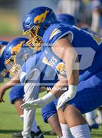 Photo from the gallery "Marshall @ Muir"