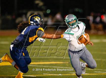 Thumbnail 3 in River Valley @ Inderkum photogallery.