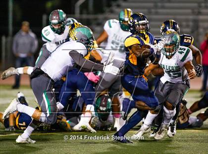Thumbnail 3 in River Valley @ Inderkum photogallery.