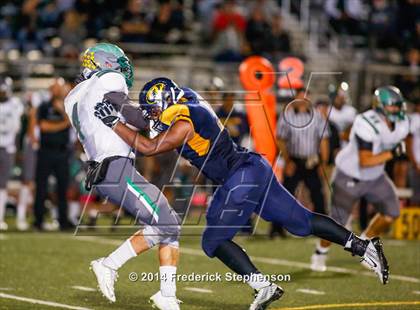 Thumbnail 1 in River Valley @ Inderkum photogallery.