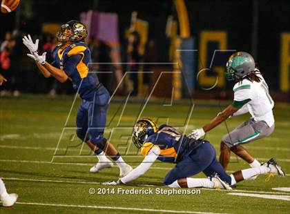 Thumbnail 2 in River Valley @ Inderkum photogallery.