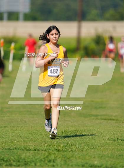 Thumbnail 1 in New Albany Cross Country Classic 2022 photogallery.