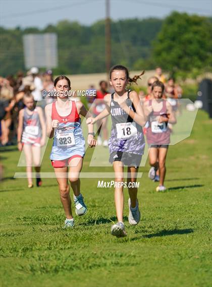 Thumbnail 3 in New Albany Cross Country Classic 2022 photogallery.