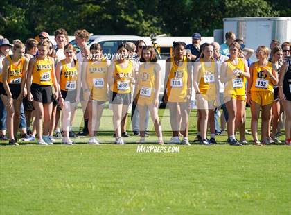 Thumbnail 3 in New Albany Cross Country Classic 2022 photogallery.