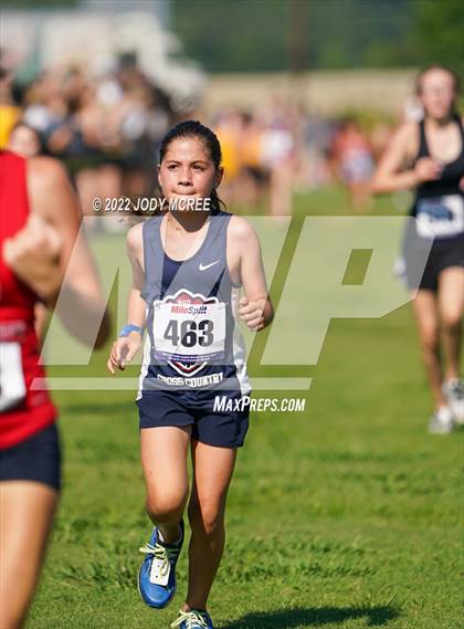 Thumbnail 1 in New Albany Cross Country Classic 2022 photogallery.