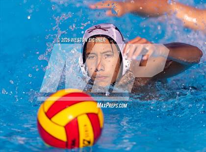 Thumbnail 2 in Coral Gables @ Dr. Krop photogallery.