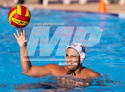 Thumbnail 3 in Coral Gables @ Dr. Krop photogallery.