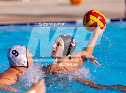 Thumbnail 1 in Coral Gables @ Dr. Krop photogallery.