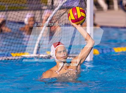 Thumbnail 1 in Coral Gables @ Dr. Krop photogallery.