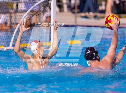 Thumbnail 3 in Coral Gables @ Dr. Krop photogallery.