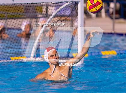 Thumbnail 2 in Coral Gables @ Dr. Krop photogallery.