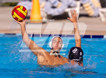 Thumbnail 3 in Coral Gables @ Dr. Krop photogallery.