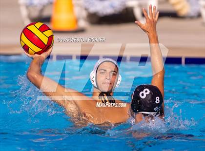 Thumbnail 2 in Coral Gables @ Dr. Krop photogallery.