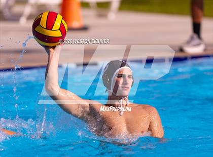 Thumbnail 2 in Coral Gables @ Dr. Krop photogallery.