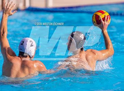 Thumbnail 1 in Coral Gables @ Dr. Krop photogallery.