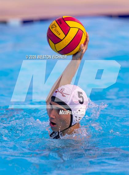 Thumbnail 2 in Coral Gables @ Dr. Krop photogallery.