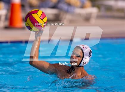 Thumbnail 3 in Coral Gables @ Dr. Krop photogallery.