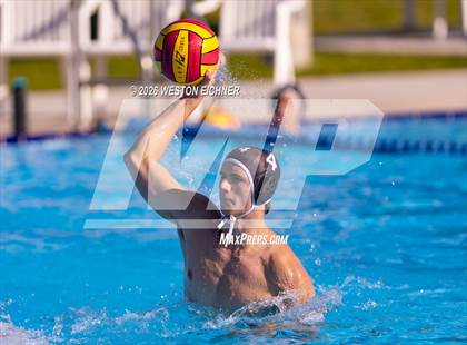 Thumbnail 2 in Coral Gables @ Dr. Krop photogallery.