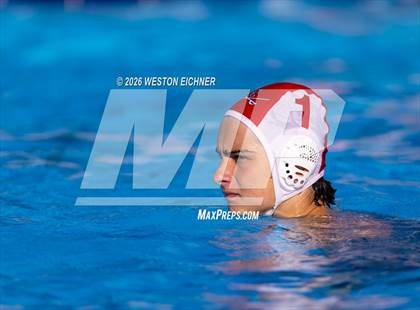 Thumbnail 2 in Coral Gables @ Dr. Krop photogallery.