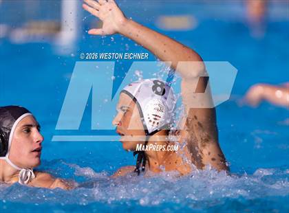 Thumbnail 3 in Coral Gables @ Dr. Krop photogallery.