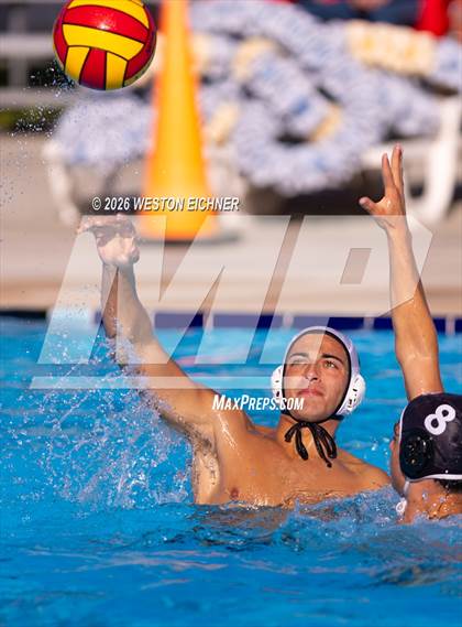 Thumbnail 1 in Coral Gables @ Dr. Krop photogallery.