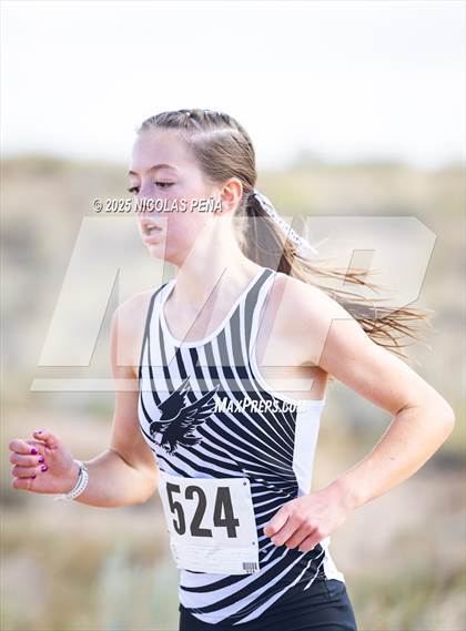 Thumbnail 3 in 2025 APS Metro Championships photogallery.