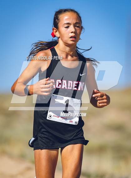 Thumbnail 2 in 2025 APS Metro Championships photogallery.