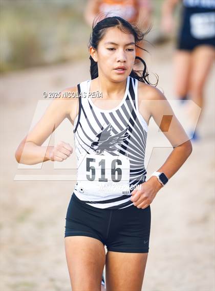 Thumbnail 1 in 2025 APS Metro Championships photogallery.