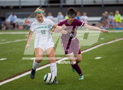Thumbnail 3 in Licking Heights @ Dublin Coffman photogallery.
