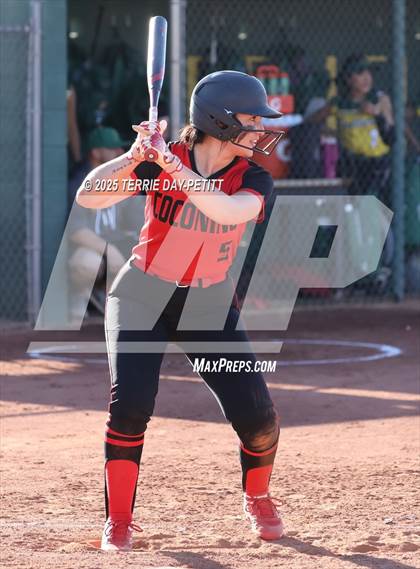 Thumbnail 2 in Coconino @ Peoria photogallery.