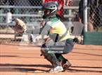 Photo from the gallery "Coconino @ Peoria"