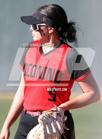 Thumbnail 3 in Coconino @ Peoria photogallery.