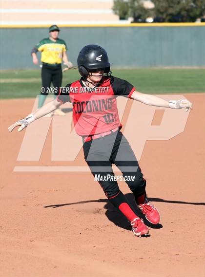 Thumbnail 1 in Coconino @ Peoria photogallery.