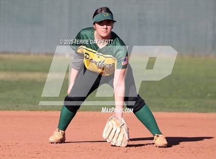 Thumbnail 3 in Coconino @ Peoria photogallery.