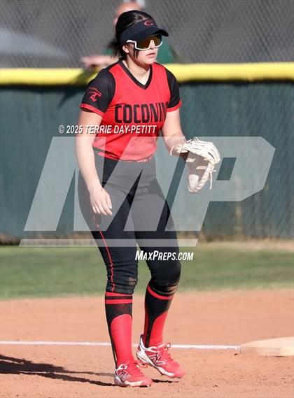 Thumbnail 3 in Coconino @ Peoria photogallery.