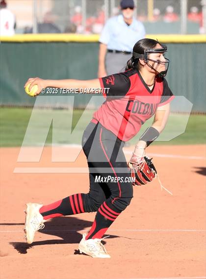 Thumbnail 3 in Coconino @ Peoria photogallery.